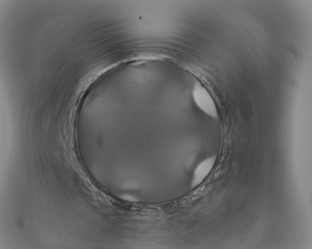 X0000110990337200907101435