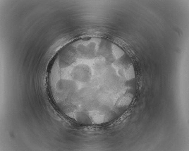 X0000110990338200907101435