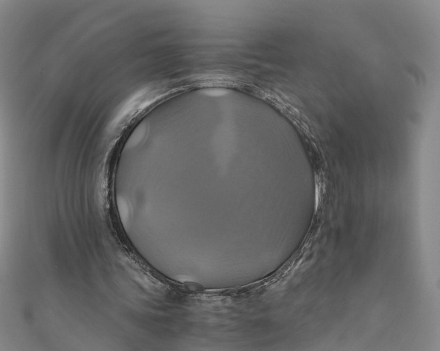 X0000110990339200907101435