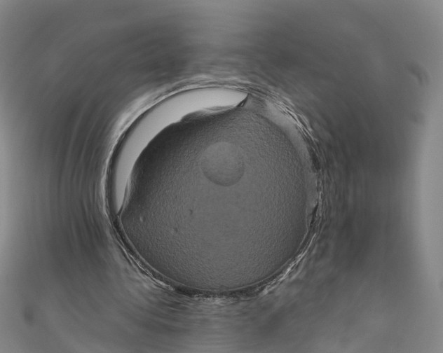 X0000110990340200907101435