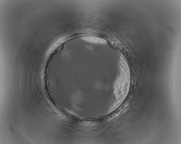 X0000110990341200907101435