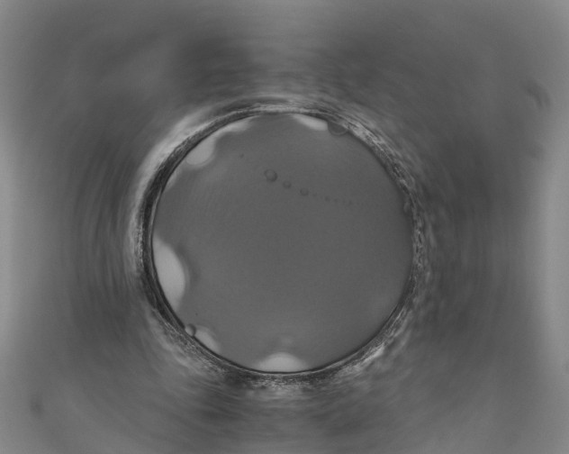 X0000110990343200907101435