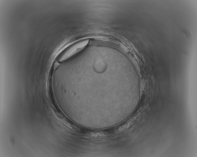 X0000110990344200907101435