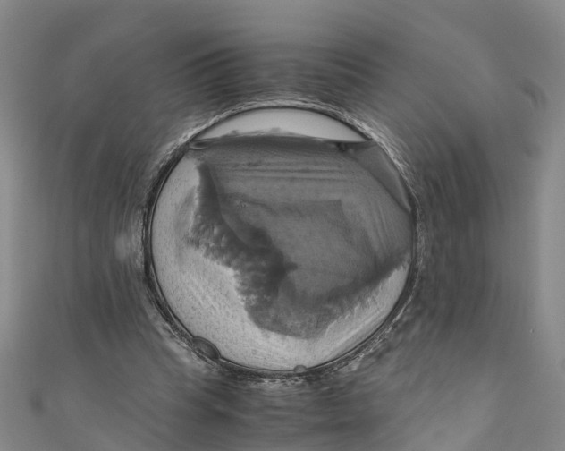 X0000110990345200907101435