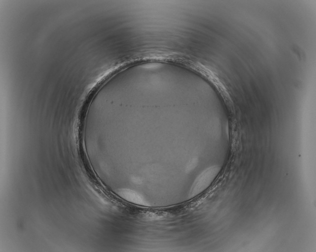 X0000110990346200907101435