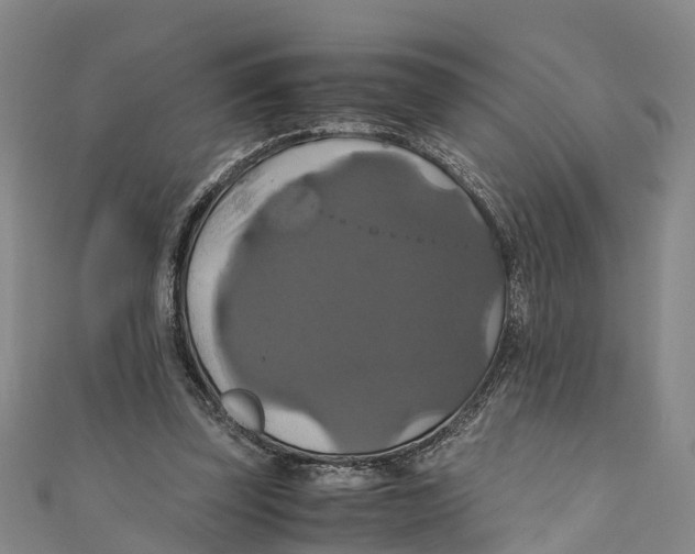 X0000110990347200907101435