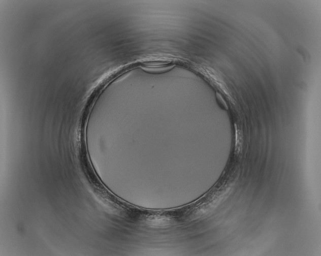 X0000110990348200907101435