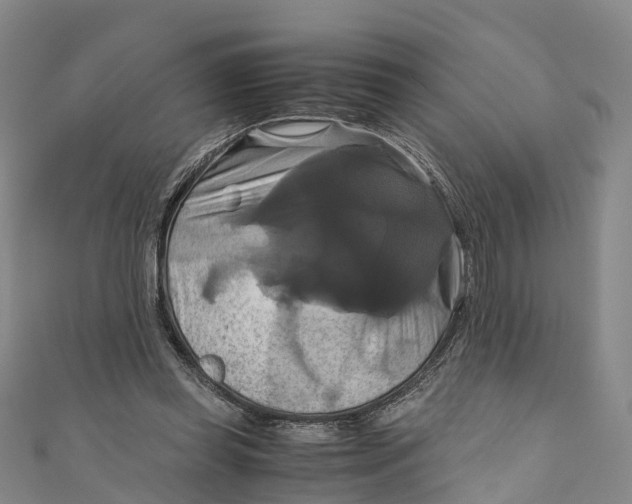 X0000110990349200907101435