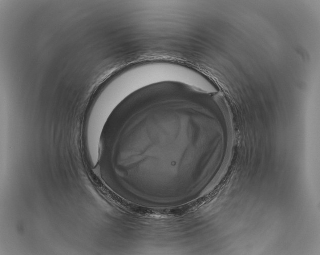 X0000110990352200907101435