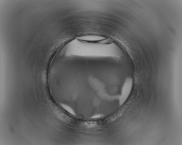 X0000110990353200907101435