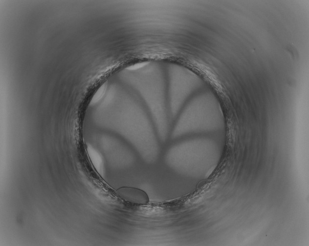 X0000110990354200907101435
