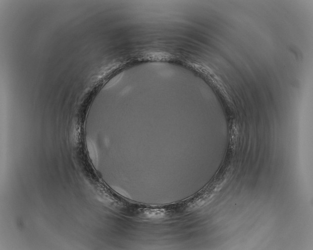 X0000110990355200907101435