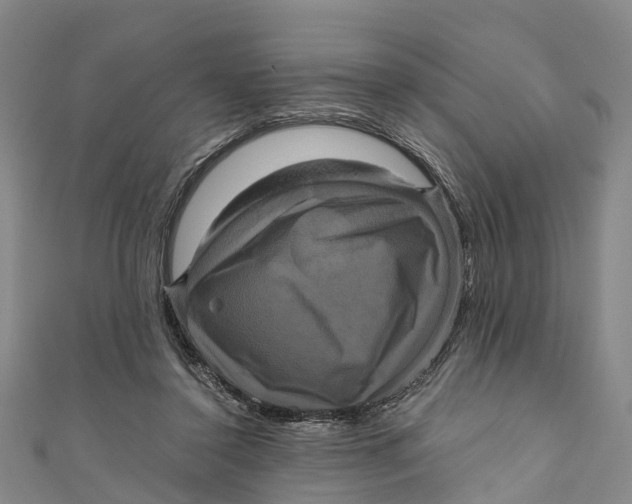 X0000110990356200907101435