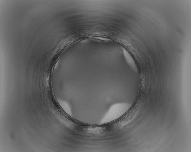 X0000110990357200907101435