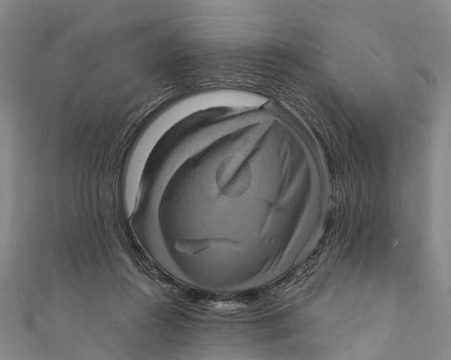 X0000110990360200907101435