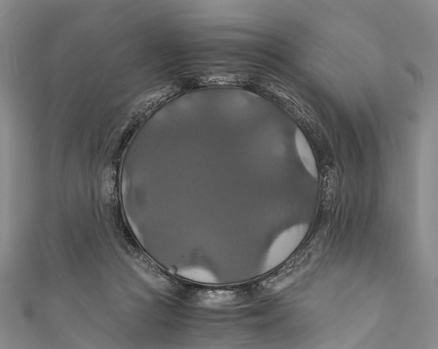 X0000110990361200907101435