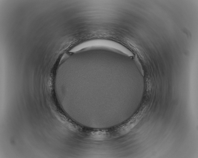 X0000110990362200907101435