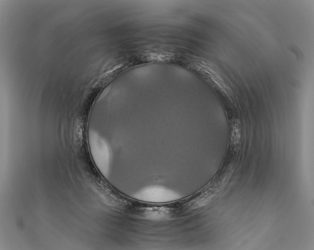 X0000110990363200907101435