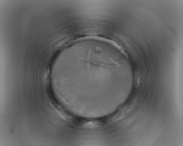 X0000110990364200907101435