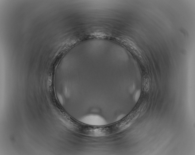 X0000110990365200907101436