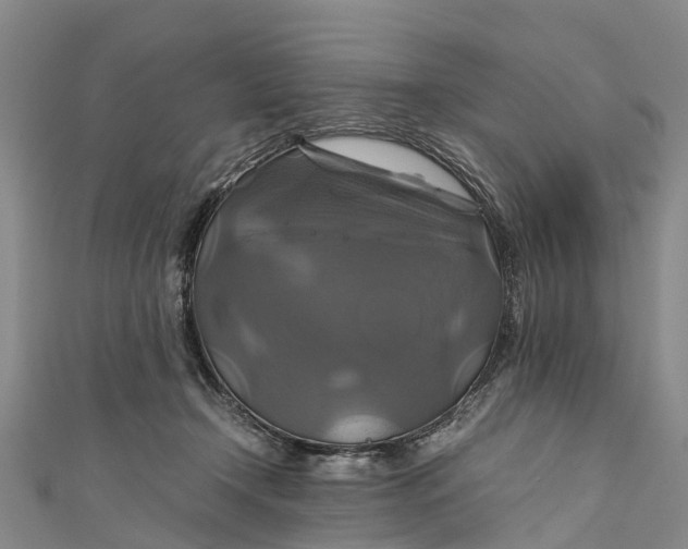 X0000110990366200907101436