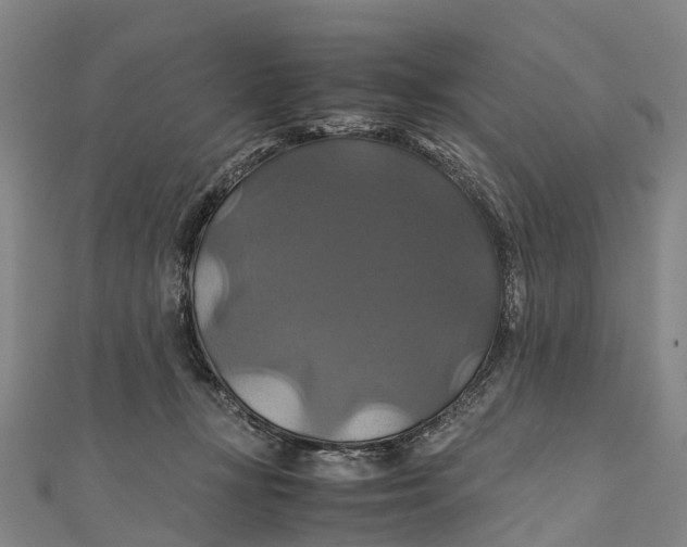X0000110990367200907101436
