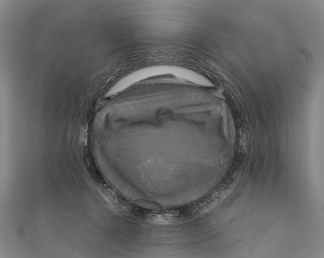X0000110990368200907101436