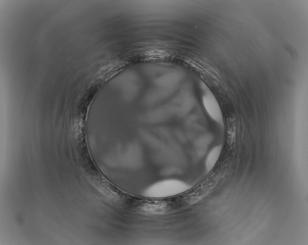 X0000110990369200907101436
