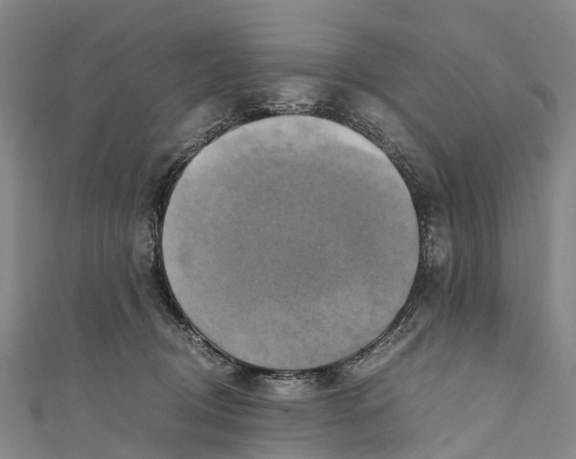 X0000110990370200907101436