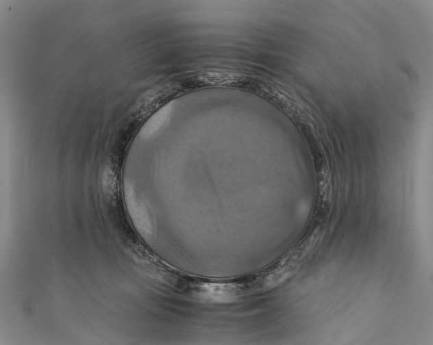 X0000110990371200907101436