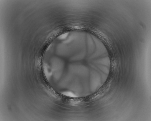 X0000110990373200907101436