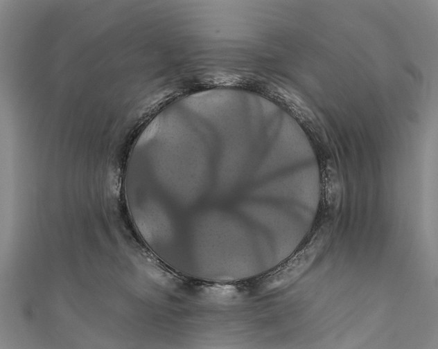 X0000110990374200907101436