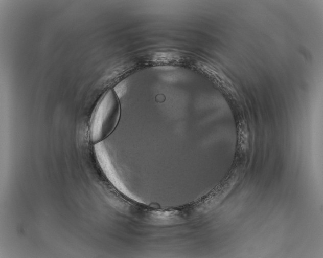 X0000110990375200907101436