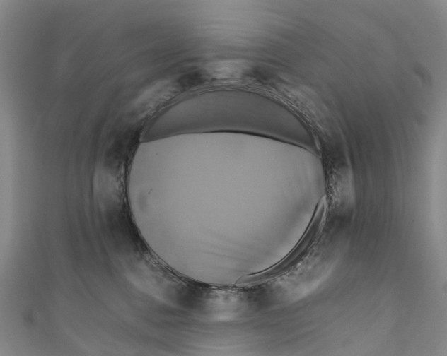 X0000110990376200907101436