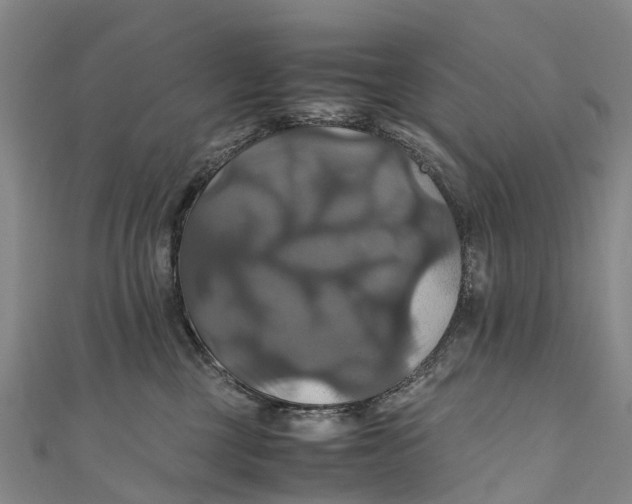 X0000110990377200907101436