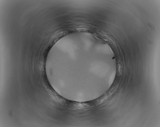 X0000110990379200907101436