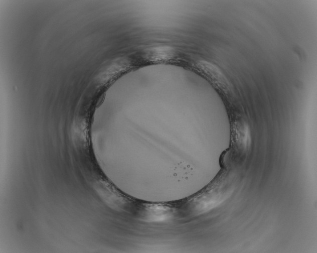 X0000110990380200907101436