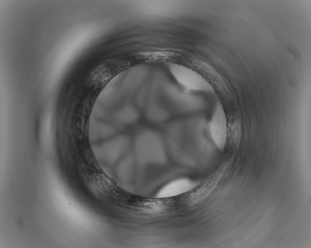 X0000110990381200907101436