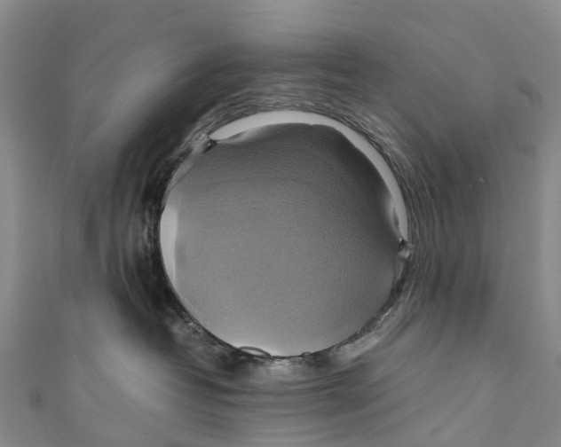 X0000110990382200907101436