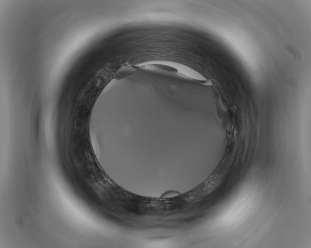 X0000110990383200907101436