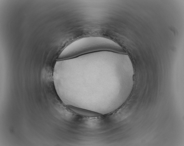 X0000110990384200907101436