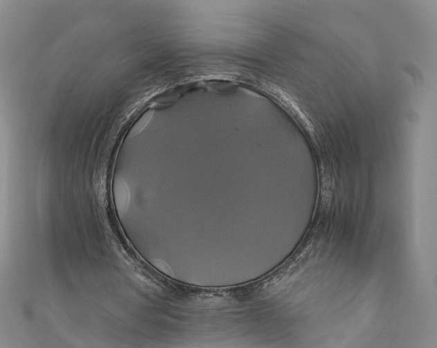X0000110990386200907101435