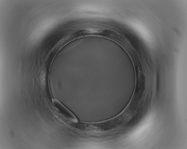 X0000110990387200907101435