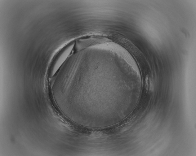 X0000110990388200907101435