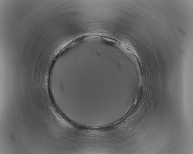 X0000110990389200907101435