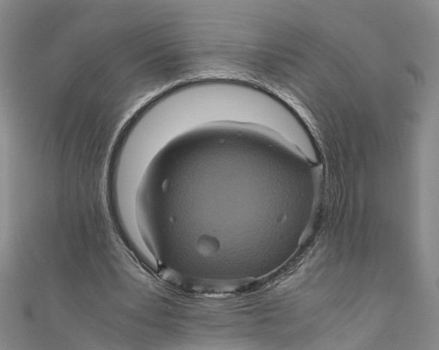 X0000110990391200907101435