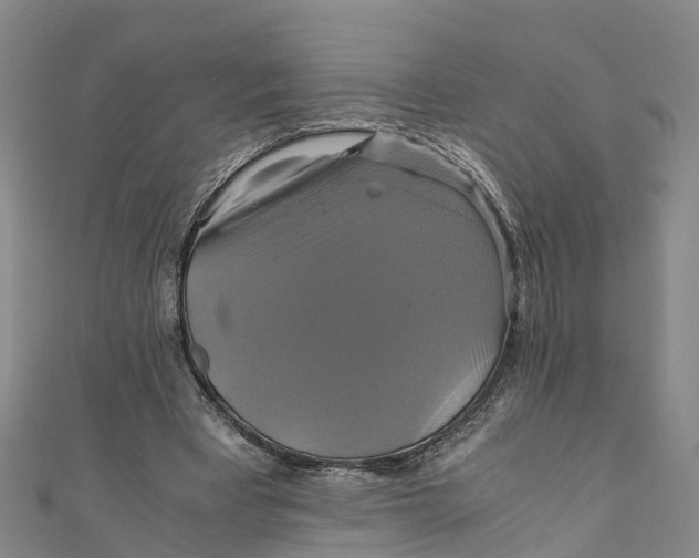 X0000110990393200907101435