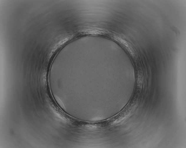 X0000110990394200907101435
