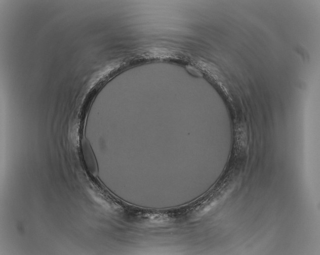X0000110990395200907101435
