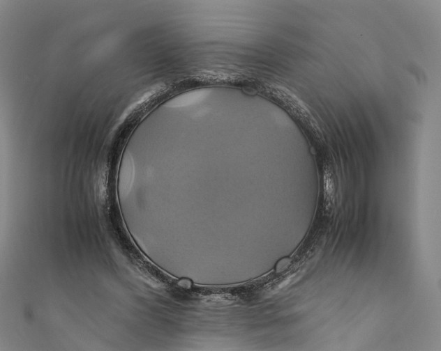 X0000110990396200907101435